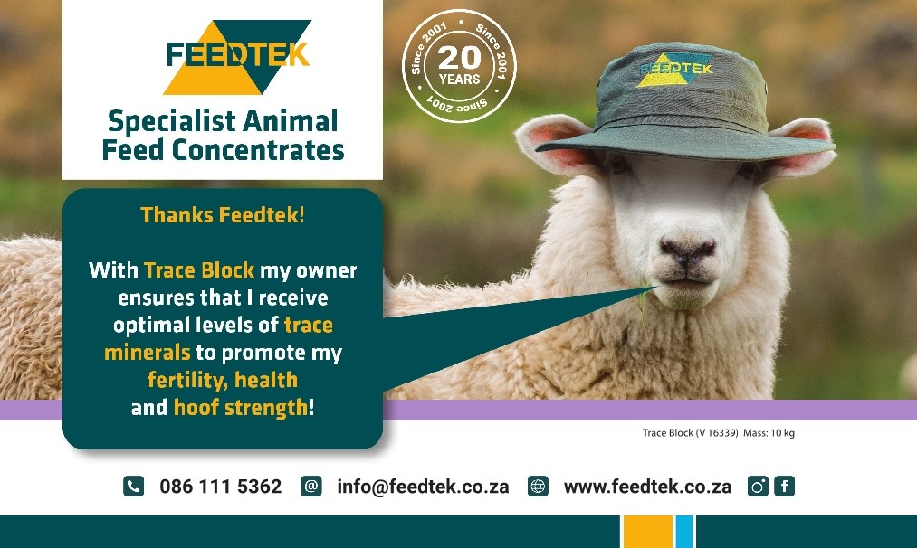 Stockfarmmag's tweet photo. The rainy season unfortunately also comes with hoof diseases such as #footrot. With #TraceBlock from #Feedtek you can be assured that your herd has optimal levels of trace elements to improve hoof strength. Send an email to info@feedtek.co.za for more info.
#AskForFeedtek https://t.co/9ksiP6XbaD