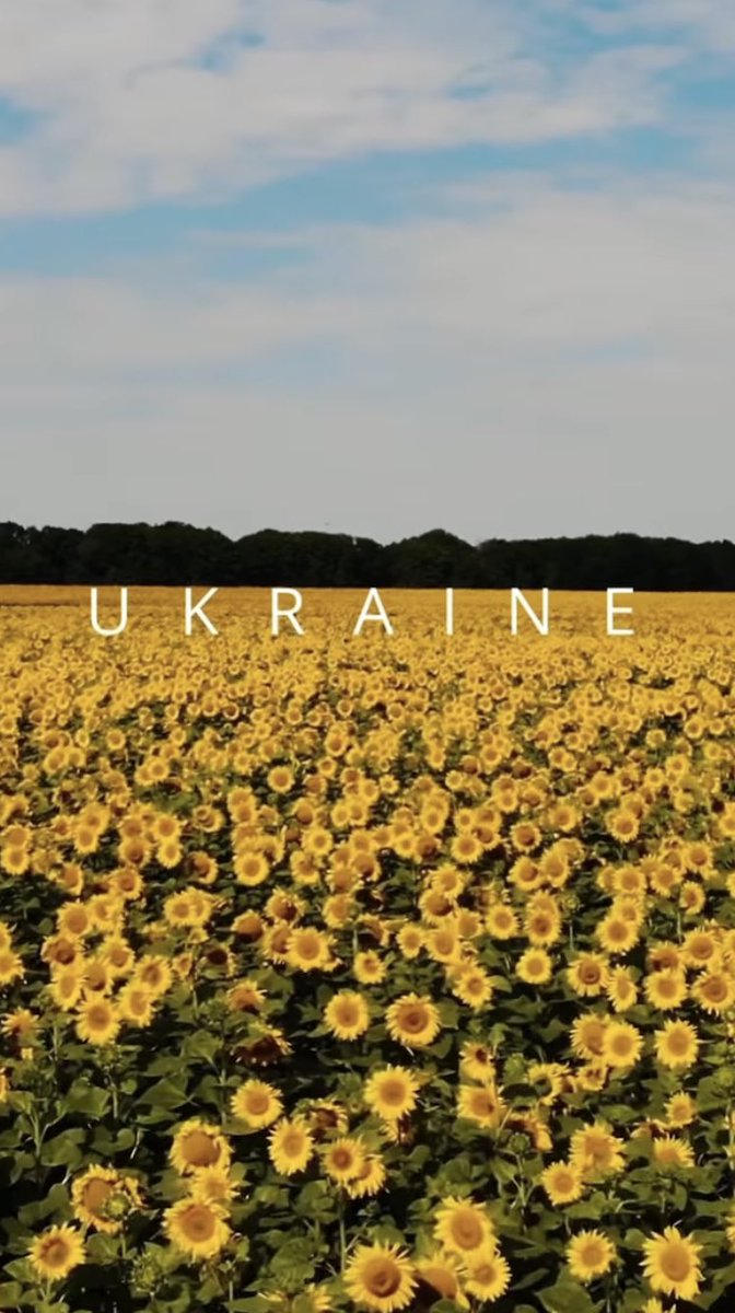 I just learned from my best friend that the colors of the Ukrainian flag 🇺🇦 represent the blue sky and all the sunflowers that grow. 

#StandWithUkraine 
#DefeatPutin