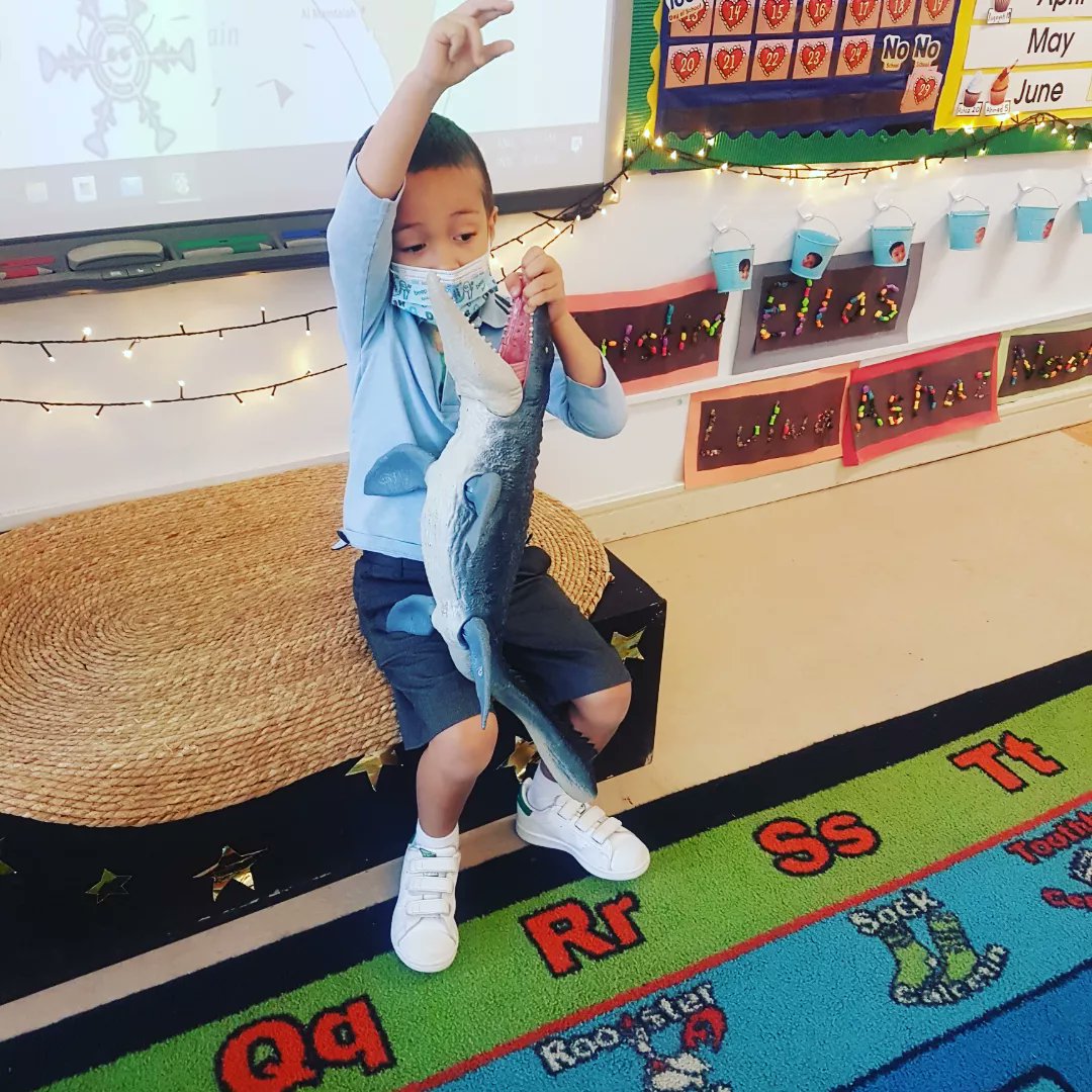 Samira Jamil tweet media