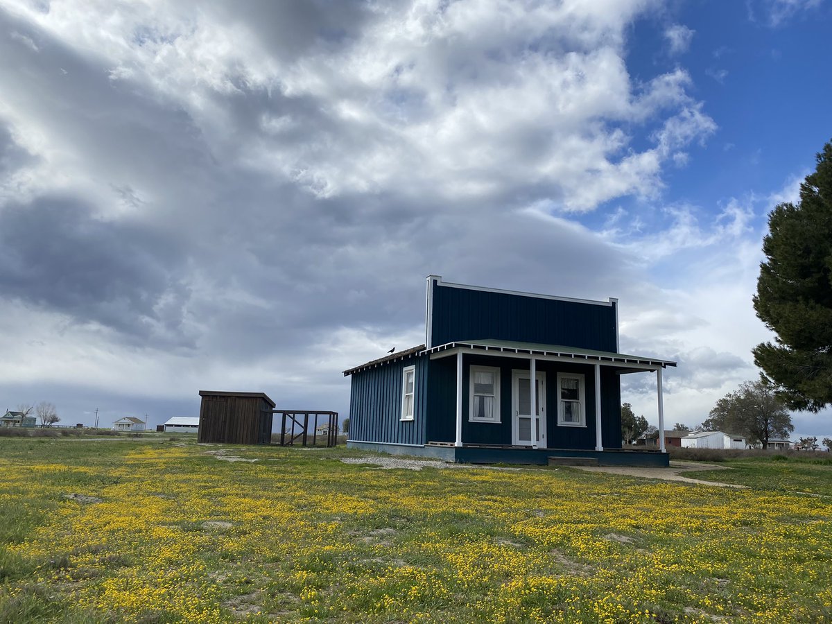 The goldfields wildflowers are blooming throughout Colonel Allensworth State Historic Park this month. The yellow flowers are carpeting the ground surrounding the bakery.
#colonelallensworthshp #CAStateParks #wildflowers