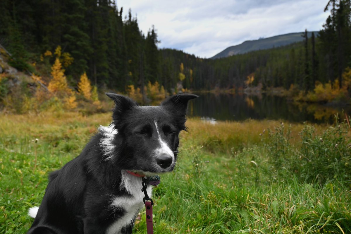 Lyla & Karah tweet media