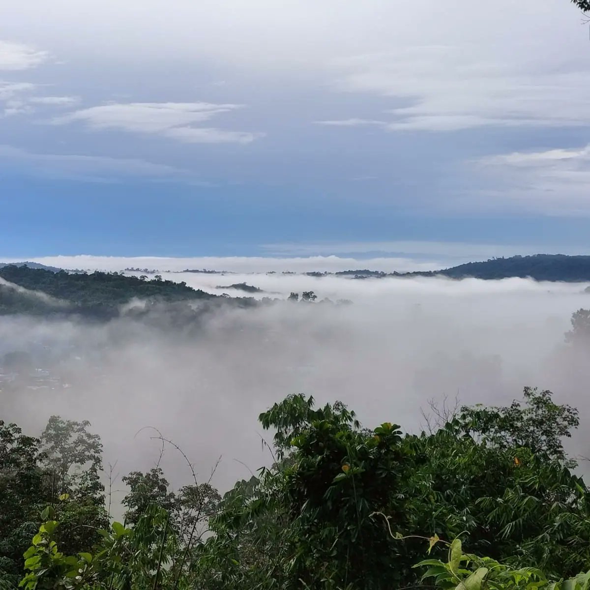 IMNayanBarman's tweet photo. "Gates of Dawn"
#morning #sunrise #northeast #dawn #karbianglong #hamren #assam #nature #earlyriser https://t.co/qTV0koMQwu
