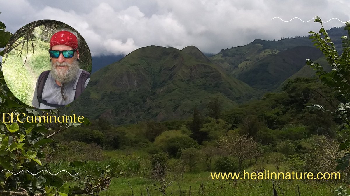 NTOTraining's tweet photo. #healinnature
#naturalflowcopywriting
#blogcopy https://t.co/Nr0H5f5gto
