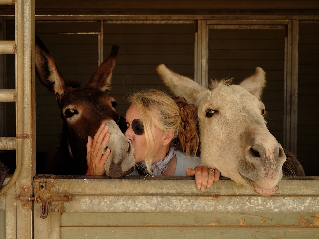 The story of Skydog Ranch and Sanctuary in Malibu will have you feeling better about the world 🐴❤️

Read the story on Waves, our luxury media channel in partnership with the top hotels in Southern California: bit.ly/34VJjBz