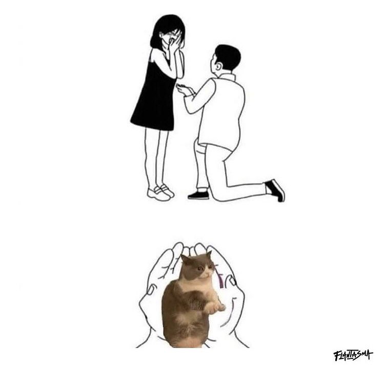 flanti (@flantasma) on Twitter photo 