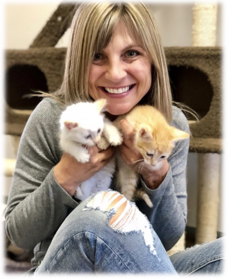 Canadiancatluv's tweet photo. Need a happy story? Check out Kim's sweet story of how she became a fosterer to 129 kittens and counting, for CARES cat shelter in Langley. https://t.co/HGLnGG23rH 
#cats #catsofinstagram #catrescue #catlovers https://t.co/fa4ICooZig