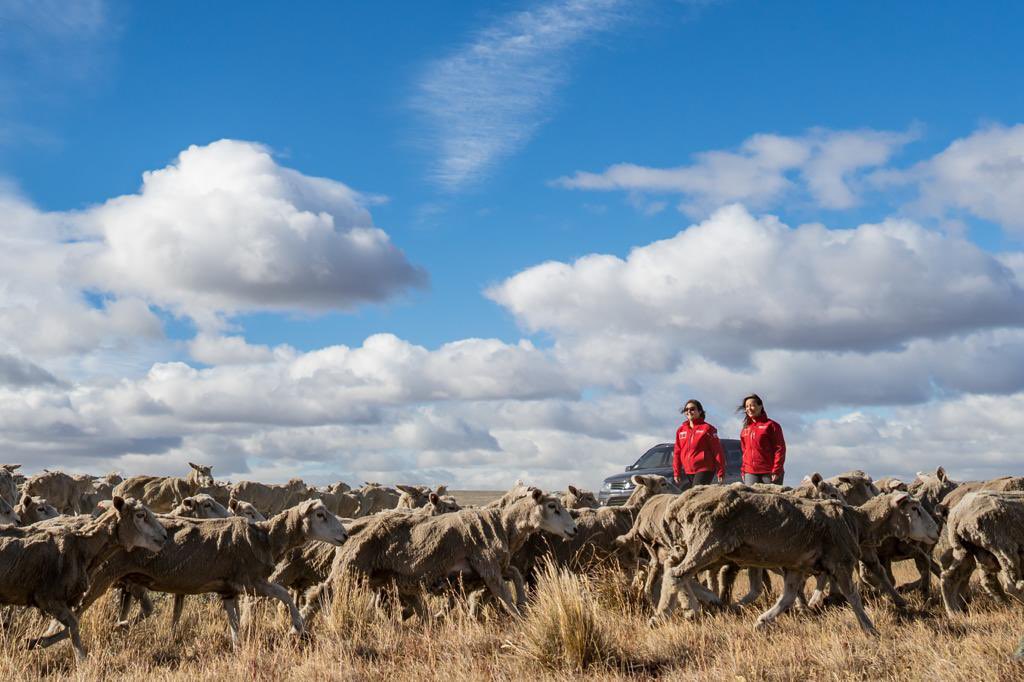 El día a día a veces  nos atrapa, no nos damos cuenta. Pero hay cosas propias de Magallanes  que nos llama a reflexionar: La simpleza, nuestra idiosincrasia y nuestra esencia. Unos segundos para saber quiénes somos y de dónde venimos. #Magallanes 💙💛