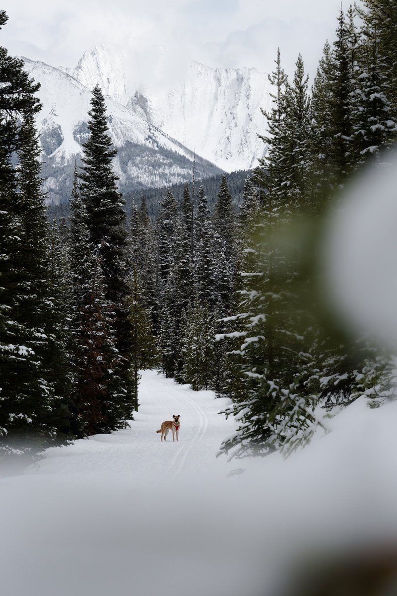 Emily & Roo tweet media