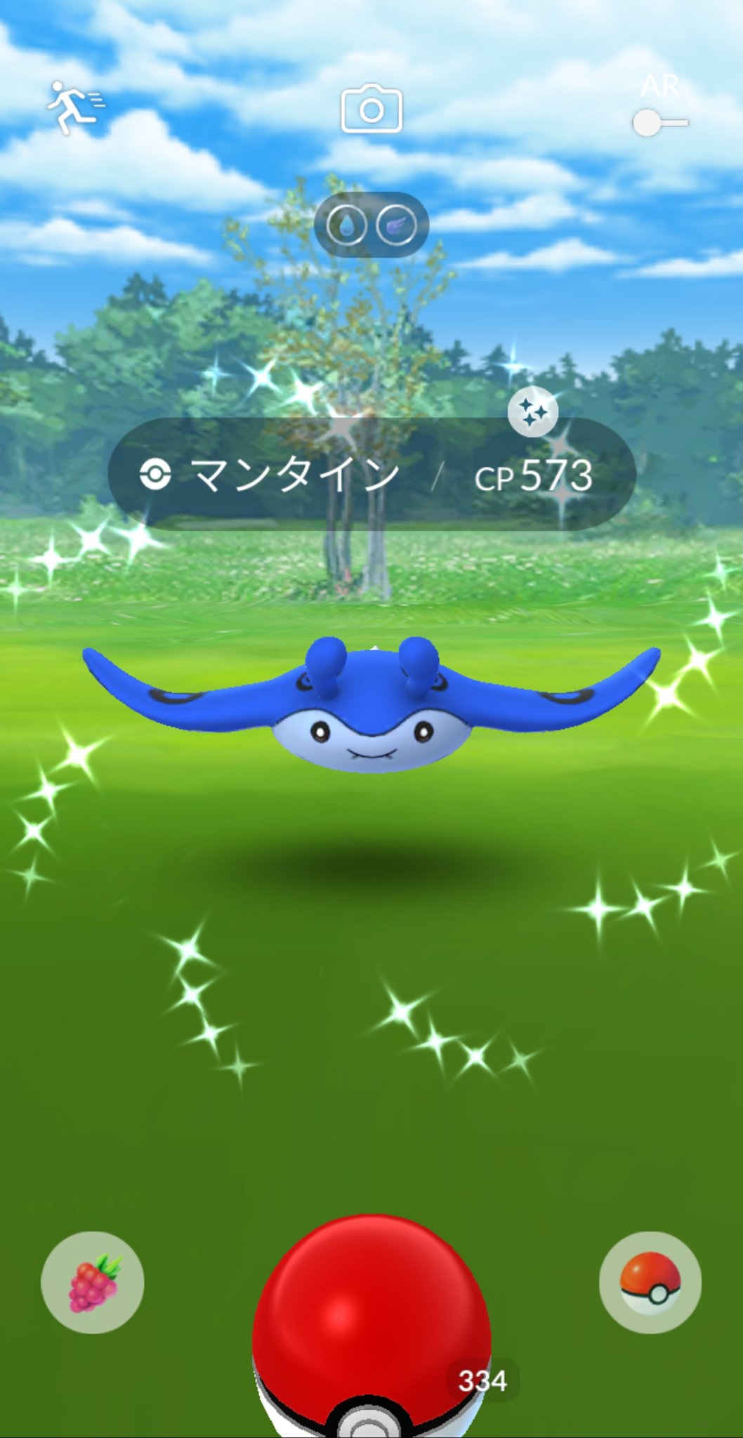 寝子 ポケモン １匹目で出ました この調子でどんどん出て ポケモンgo ジョウトツアー マンタイン 色違い T Co Zhunzq1vln Twitter