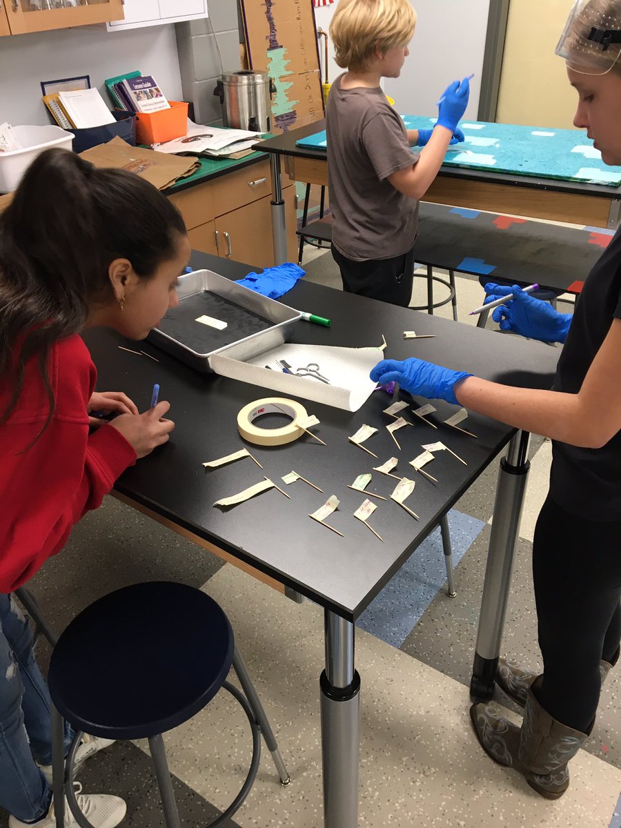 HortonKandi's tweet photo. More dissection pics! Ms. Ryan gets #SubOfTheYear for providing this opportunity in the absence of @mzirbs! #wcsflight https://t.co/6ZsPUS7Lm6
