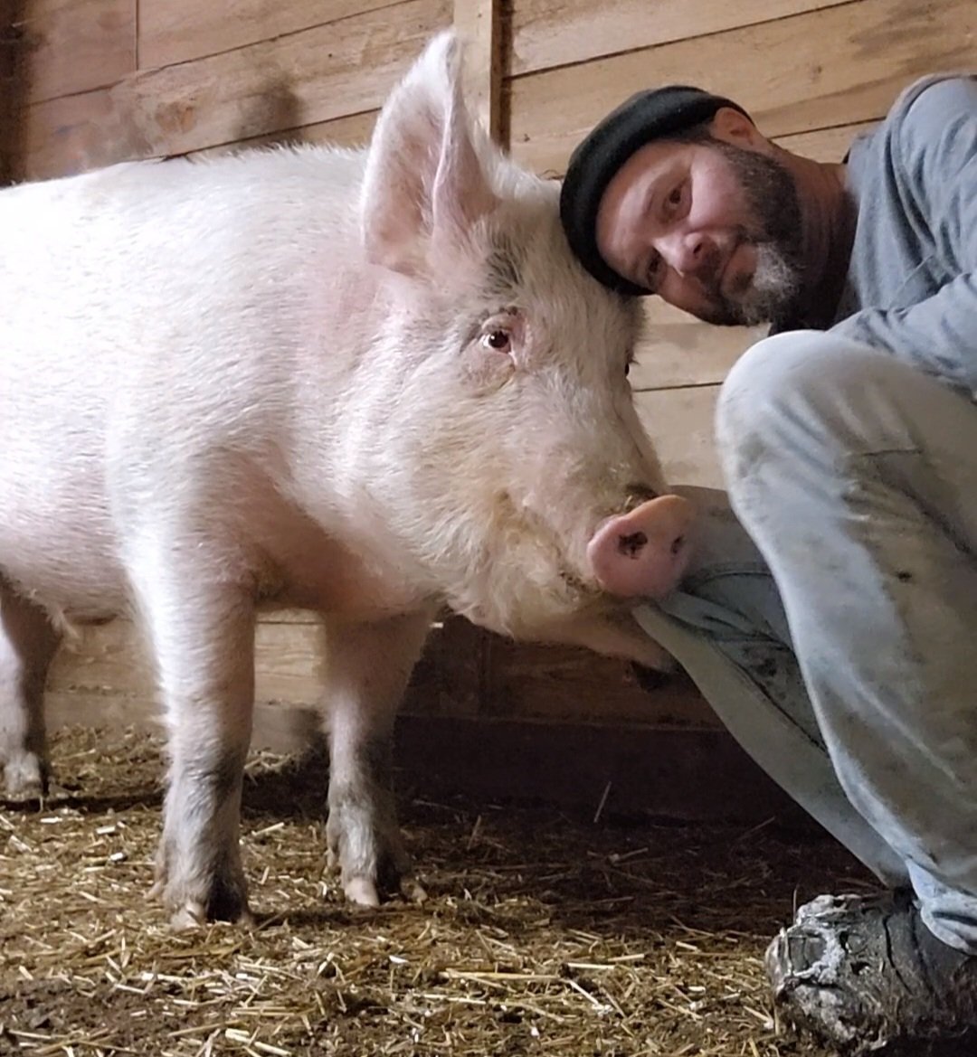 GregJC's tweet photo. Baby Jones jumped off of a slaughter transport truck about a year and a half ago and made his way to us, covered in road rash and getting over pneumonia. He's so very special and such a kind being. #vegan #fortheanimals @BASanctuaryNY https://t.co/R3nVllJf6a