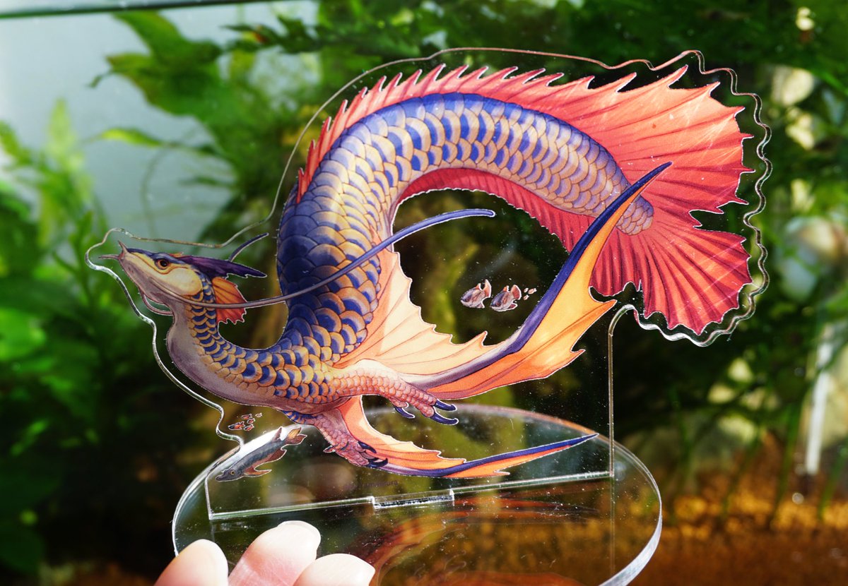 no humans cup dragon fish mug water  illustration images