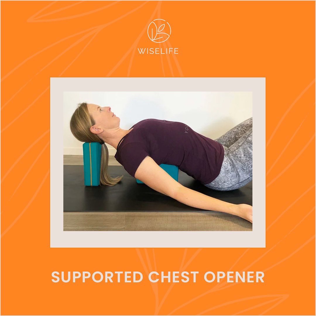 WiselifeIndia's tweet photo. Yoga blocks are an excellent way to explore, facilitate or extend a pose. When used effectively, props provide relaxation, balance and support.
.
.
.
#wiselife #yogablocks #yoga #fitness #meditation #yogapractice #love https://t.co/tXX9pafeR4