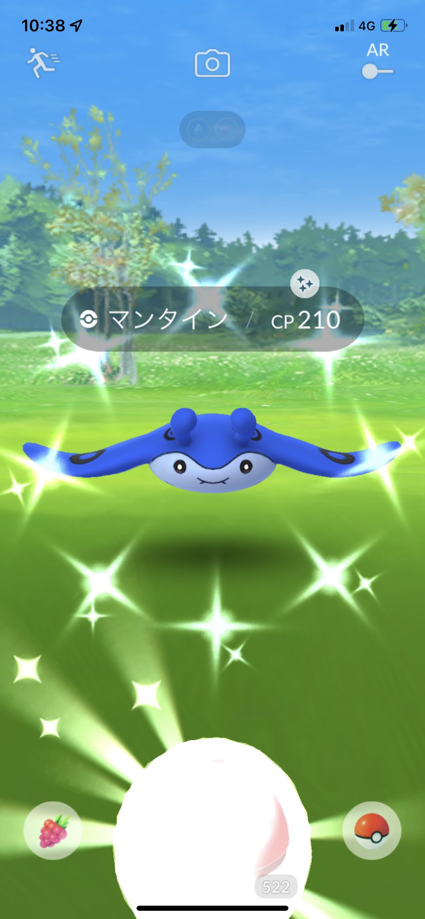 ひなおちゃん マンタイン ポケモンgo 色違い T Co Prbzqxkmjd Twitter