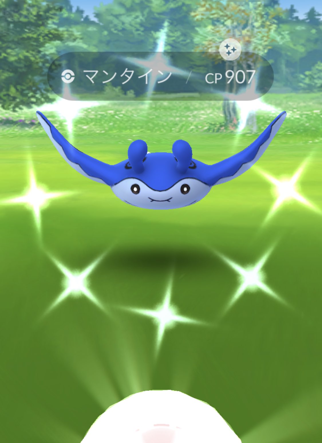 こいきんぐ あああああああマンタイン色違い可愛い ポケモンgo Pokemongotour Pokemongotourjohto ジョウトツアー T Co Tcyffpcy1n Twitter