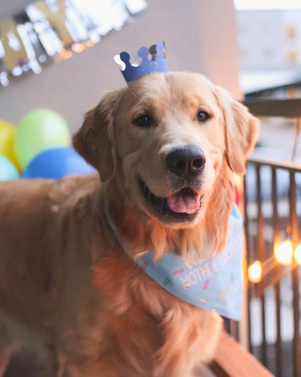 Miller Boi tweet media