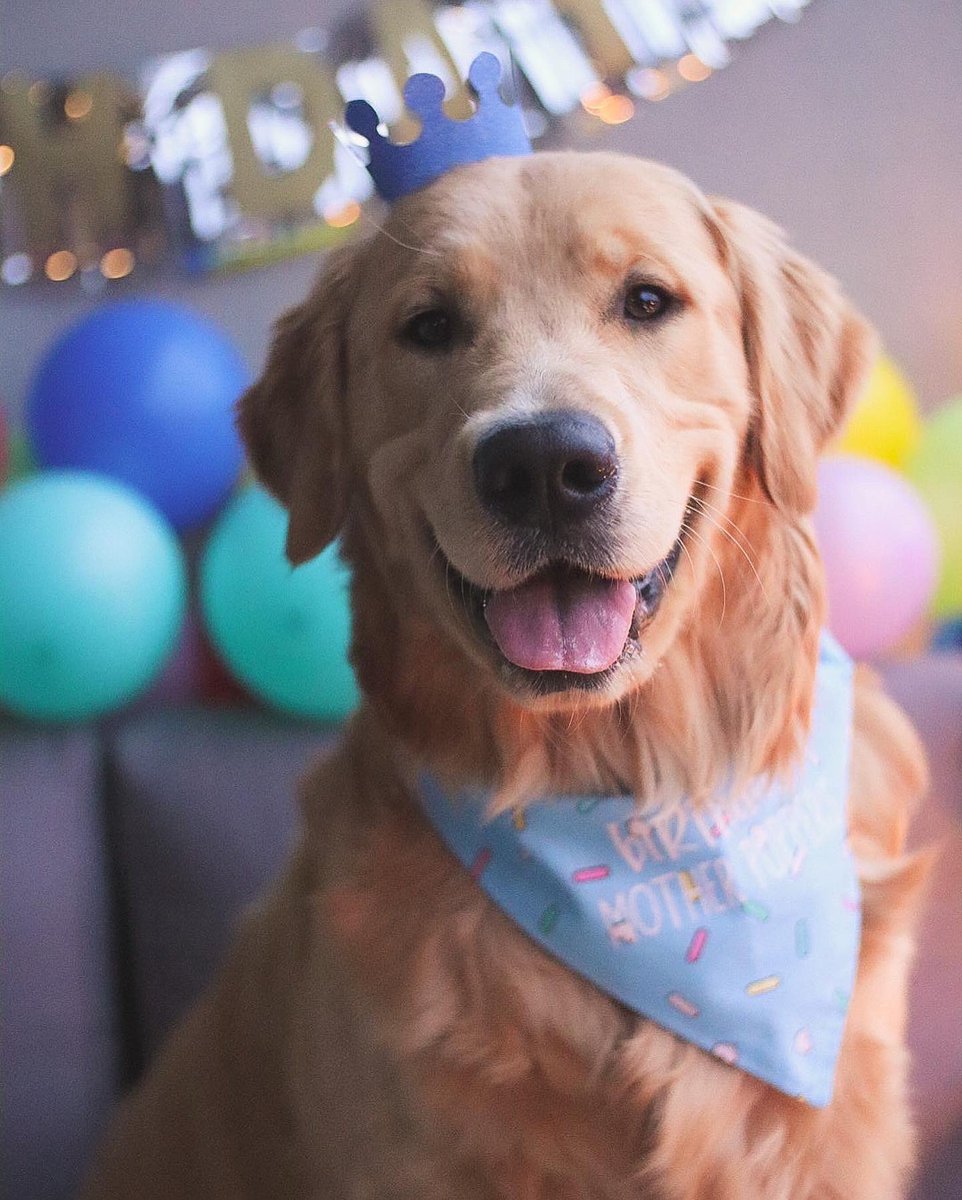 Miller Boi tweet media