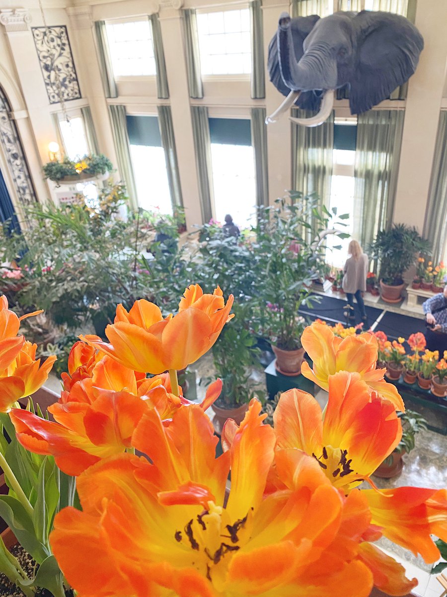 AimeeLewisPR's tweet photo. The #DutchConnection at @EastmanMuseum is the place to be on a snowy #Roc day https://t.co/Wg8w02Z11m