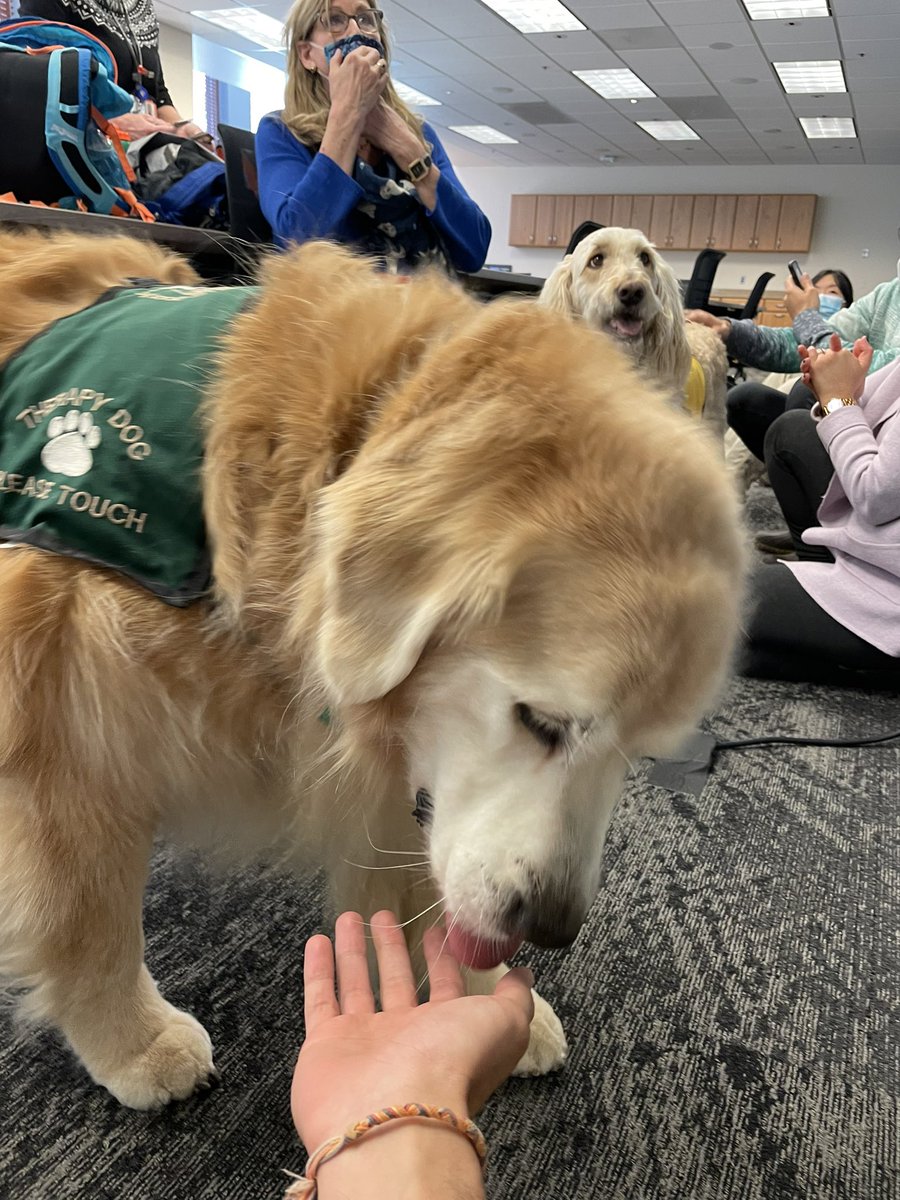 Eric Moughames (@emoughames) on Twitter photo What better way to end the first SAR retreat with amazing co-residents than with pet therapy. <a href="/BayviewMedicine/">Hopkins Bayview IM Residency</a> What better way to end the first SAR retreat with amazing co-residents than with pet therapy. <a href="/BayviewMedicine/">Hopkins Bayview IM Residency</a>