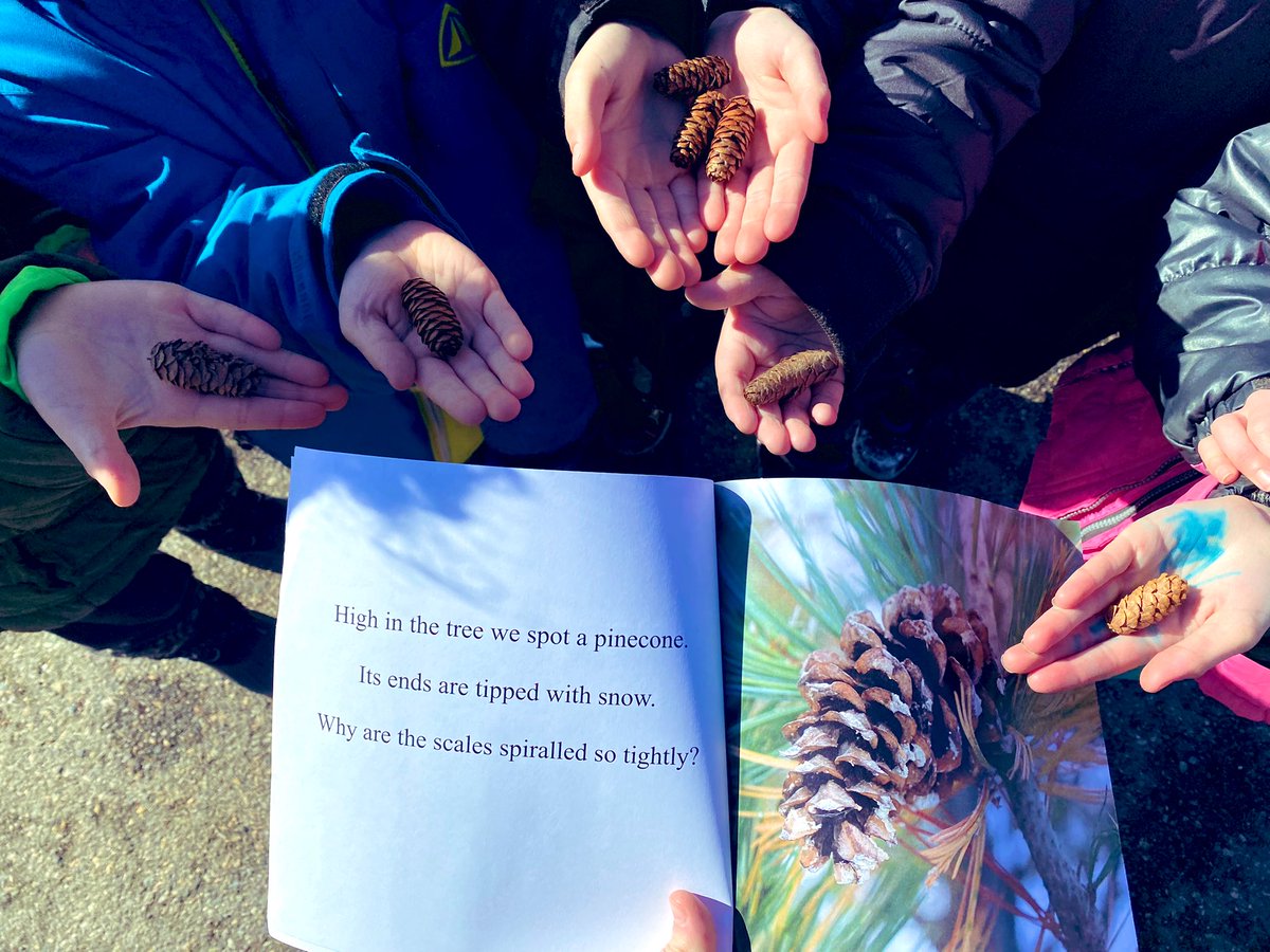 Winter Math Walk + Story💛 <a href="/McLennan1977/">Deanna McLennan Ph.D</a> 

Grade 2: I can communicate mathematical thinking in many ways!  I can measure (distance), count to 100 (tens &amp; ones), increase &amp; decrease patterns, different shapes, temperature, size, estimation &amp; yes we found/ named our buddy trees 🧡
