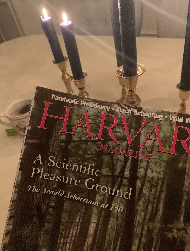 harrisonpkent's tweet photo. I have just returned home from the Kent Analytics office, and alas, I digress to my roots: academia. My tea is perfection for this reading experience. I am utterly enthralled as I explore my colleague’s research into sample interference of the botanicals at the Arnold Arboretum. https://t.co/ykAisMfP8j