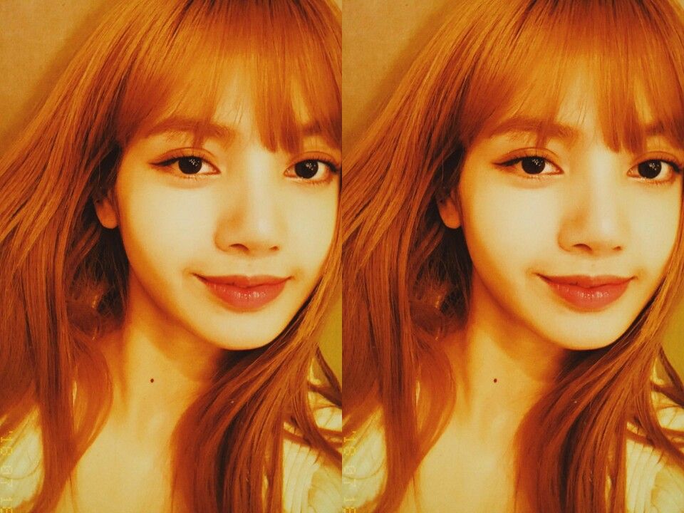 hourly lisa tweet media
