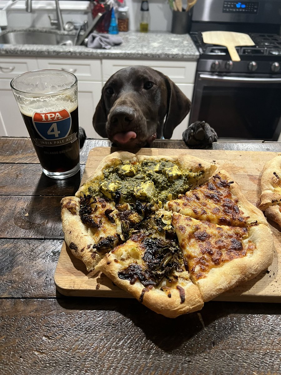 It’s pizza friyay 🍕#DogTwitter #dogsoftwitter #twitterdogcommunity