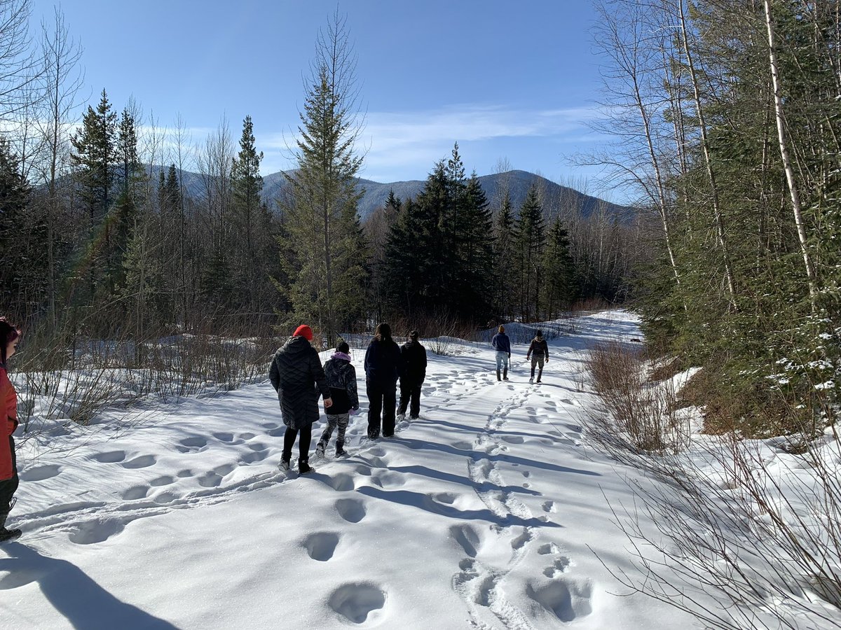 Dead Pine Collective tweet media