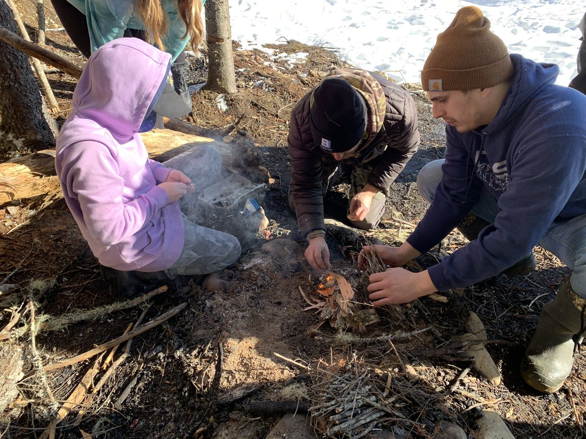 Dead Pine Collective tweet media