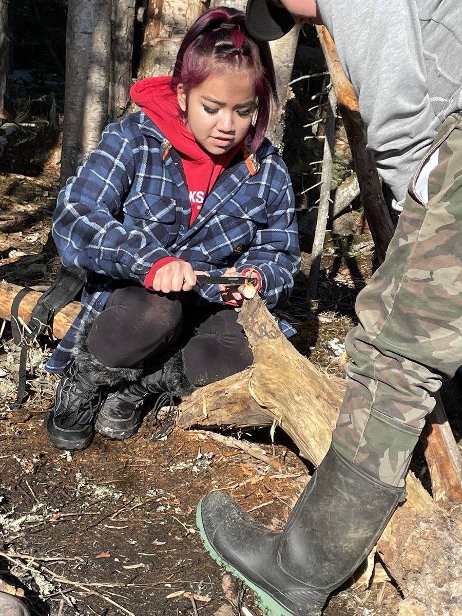 Dead Pine Collective tweet media