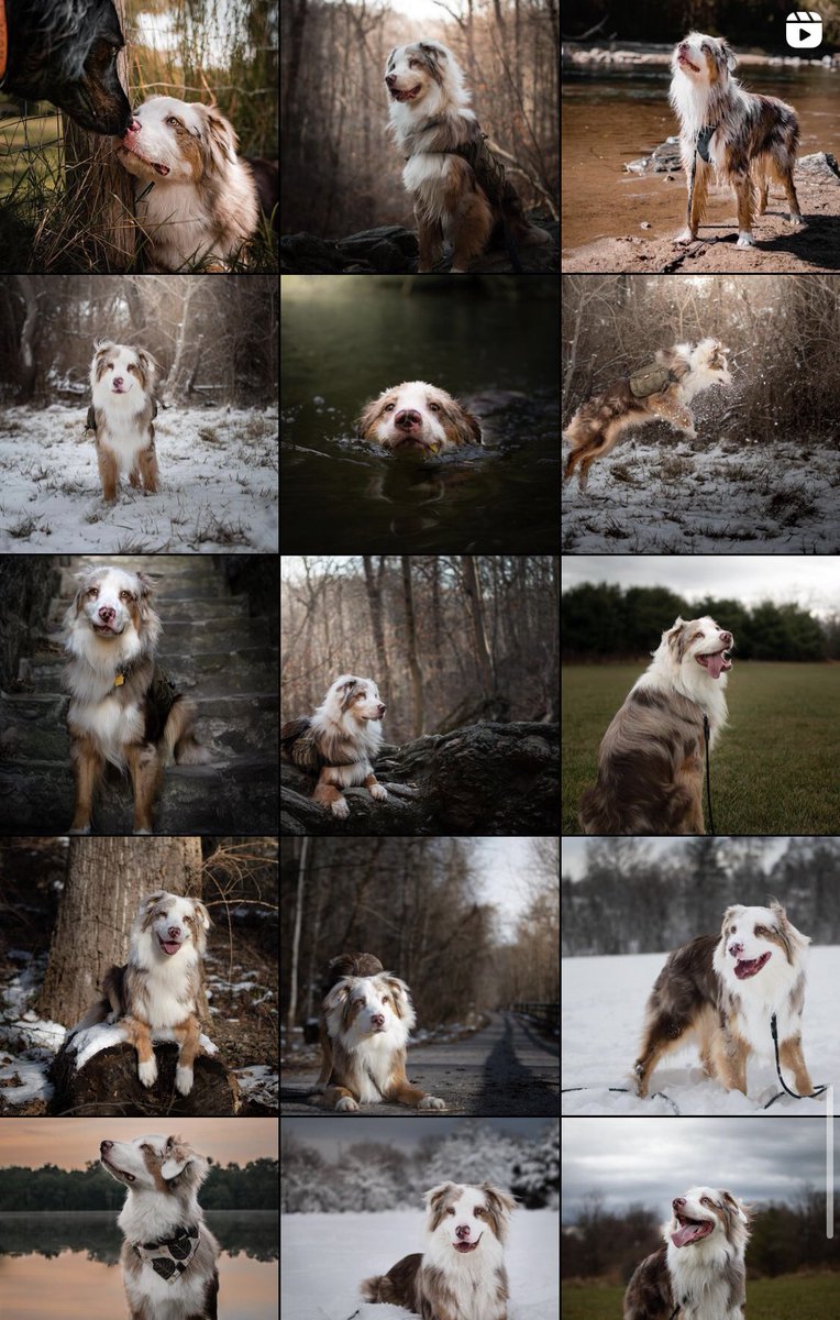 Zuko + Maia tweet media