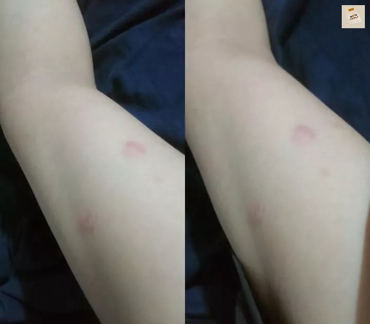 rep /delvote to delete mfs tweet media