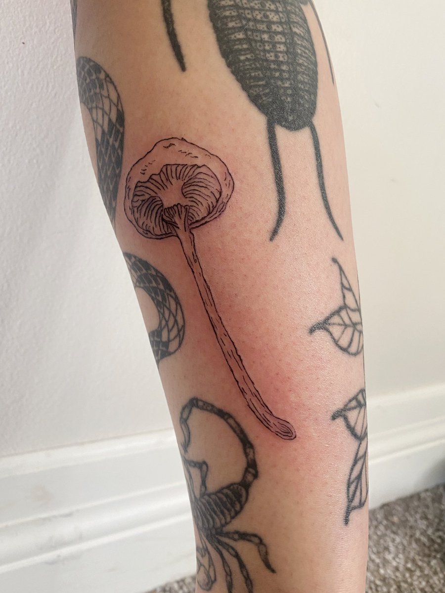 Roni James tweet media