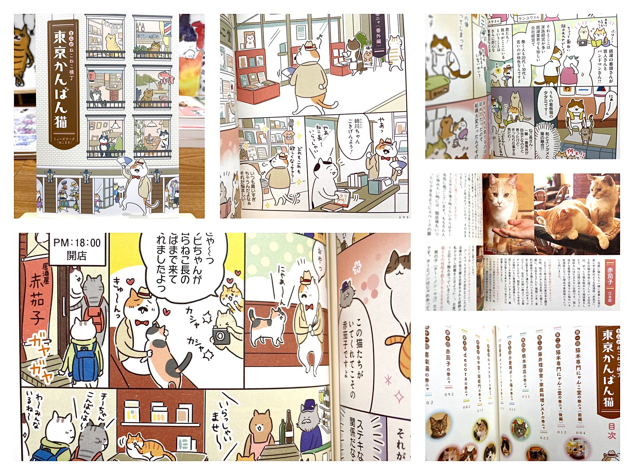 猫本専門 神保町にゃんこ堂 姉川書店 A Tuwita 2 26 土 10 00 18 00 日曜定休 登場人物は全て ネコ ねこねこ横丁 東京かんばん猫 13円 看板猫がいるお店を ねこまき さんの漫画で紹介 観光案内所の ねこ長 が案内する 猫愛溢れる看板猫リアルストーリー