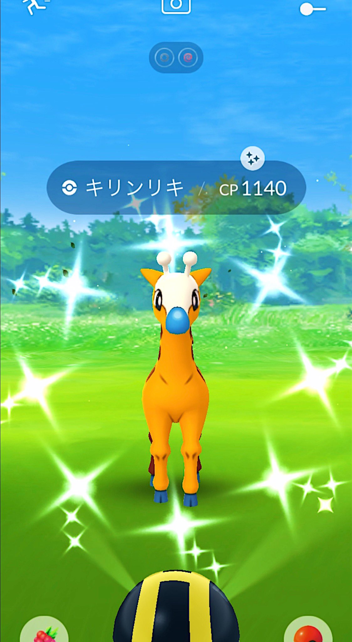 らら ポケ ジョウト地方始まりましたね キリンリキィィィィ 嬉しいいいいいい 思わず叫びました૮ ა 午後も楽しみましょおー ポケモンgo T Co Xszbzroy8y Twitter