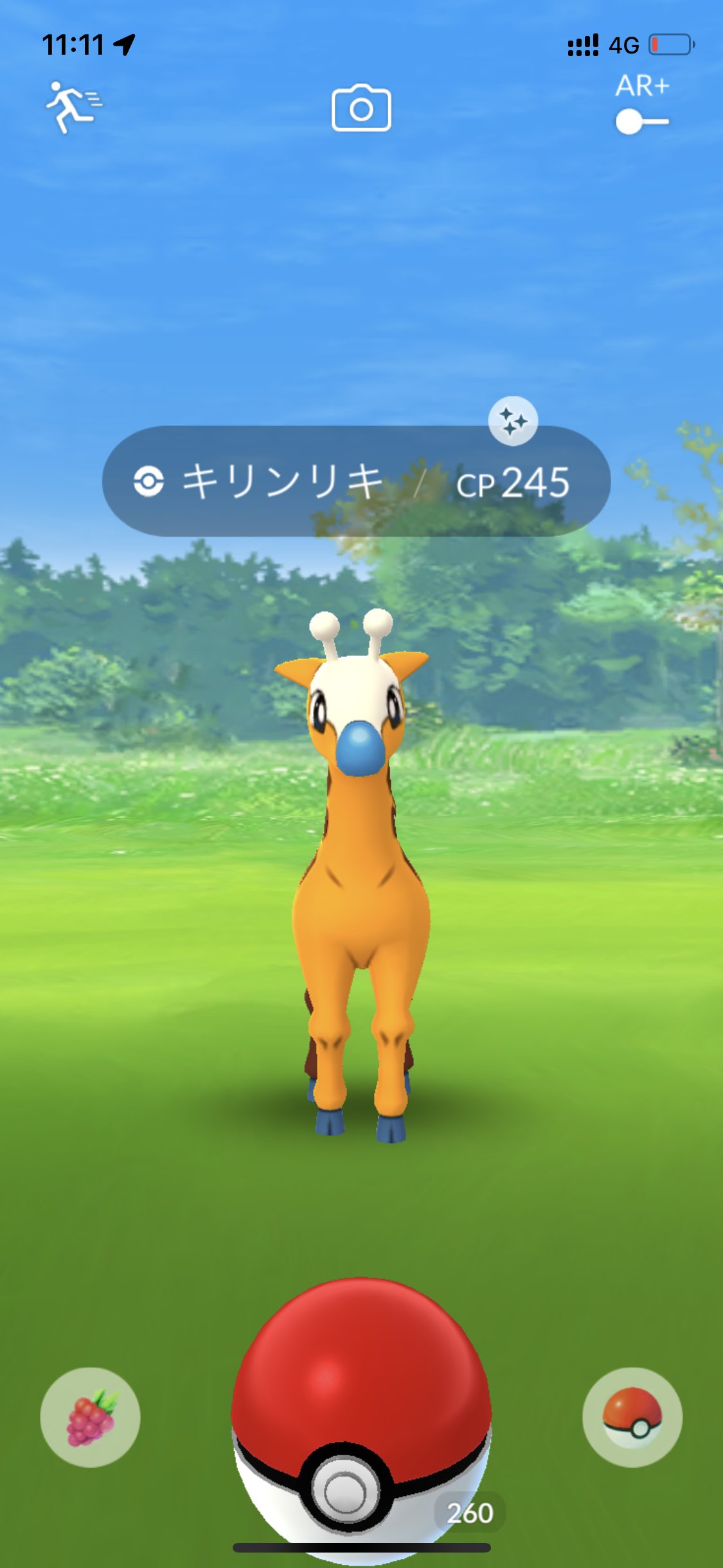 きゃた キリンリキ色違い 初実装なので嬉しい ポケモンgo 色違い キリンリキ Pokemongotour T Co Lg5z24nnjj Twitter