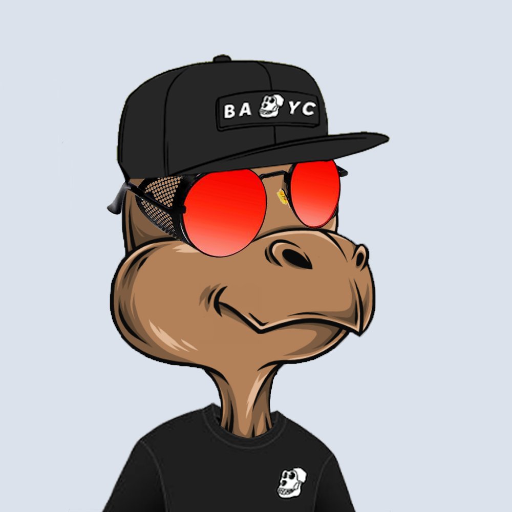 Fancy Turtles Club (@FancyTurtles_) / Posts / X