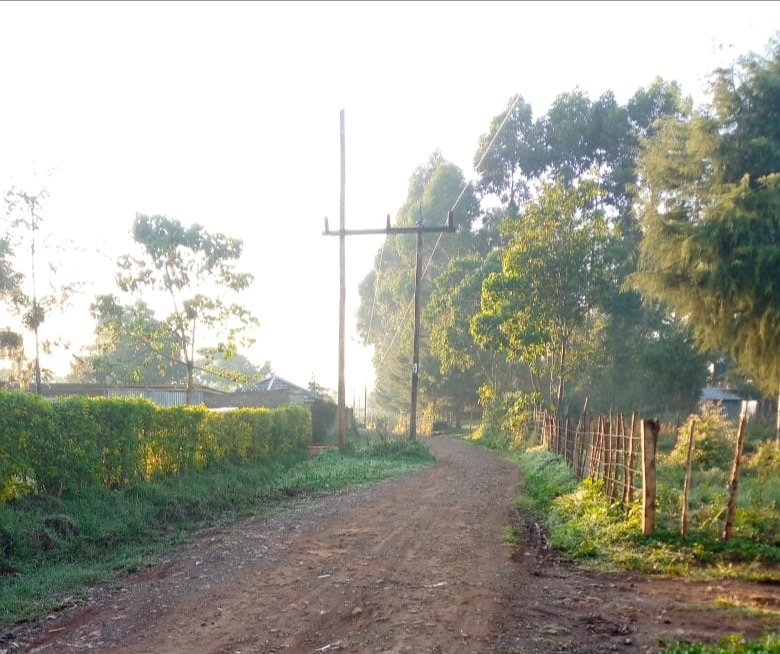 LGathirwa's tweet photo. @KenyaPower @KenyaPower_Care @TransportKE @kerichocountygv @kerichodigital  High voltage lines sitting in the middle of the road on the Keriwest hotel bypass-kericho. This is impunity #Kenyapowerchronicles https://t.co/28SI7S13Sm
