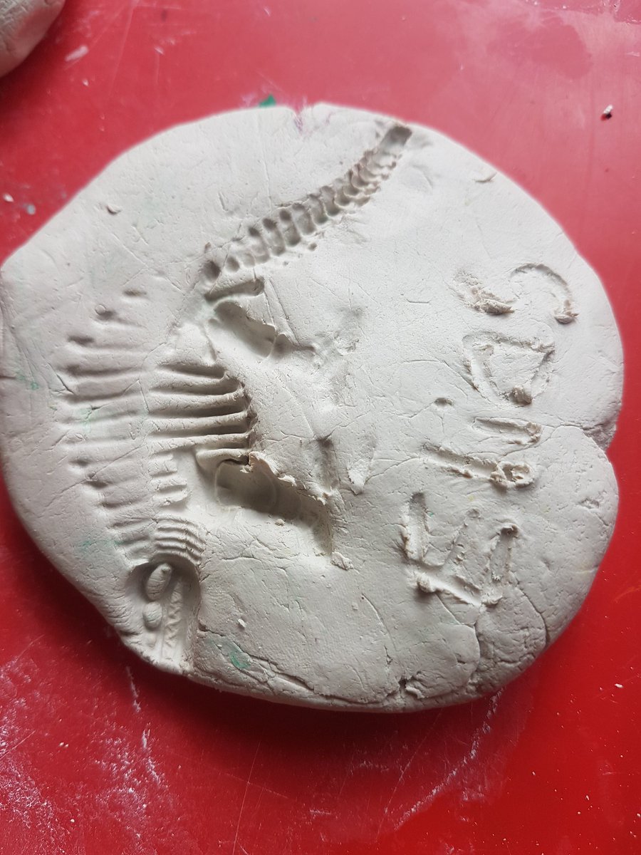 Samira Jamil tweet media