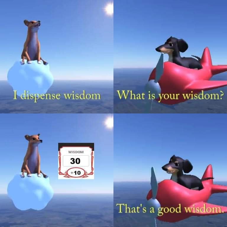 bea_dnd's tweet image. We concur. 

#DnD #Wisedogs