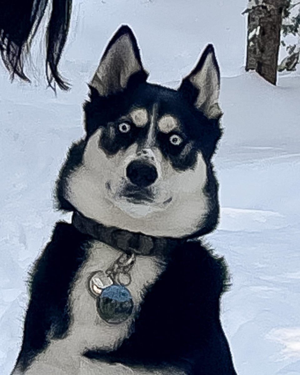 Me over here trying to figure out how this works