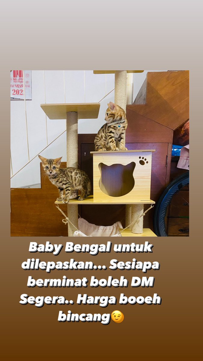 d20mix's tweet photo. Sesiapa berminat boleh DM yaa.. Harga kawan2 je😝 https://t.co/trqGEF4VC7