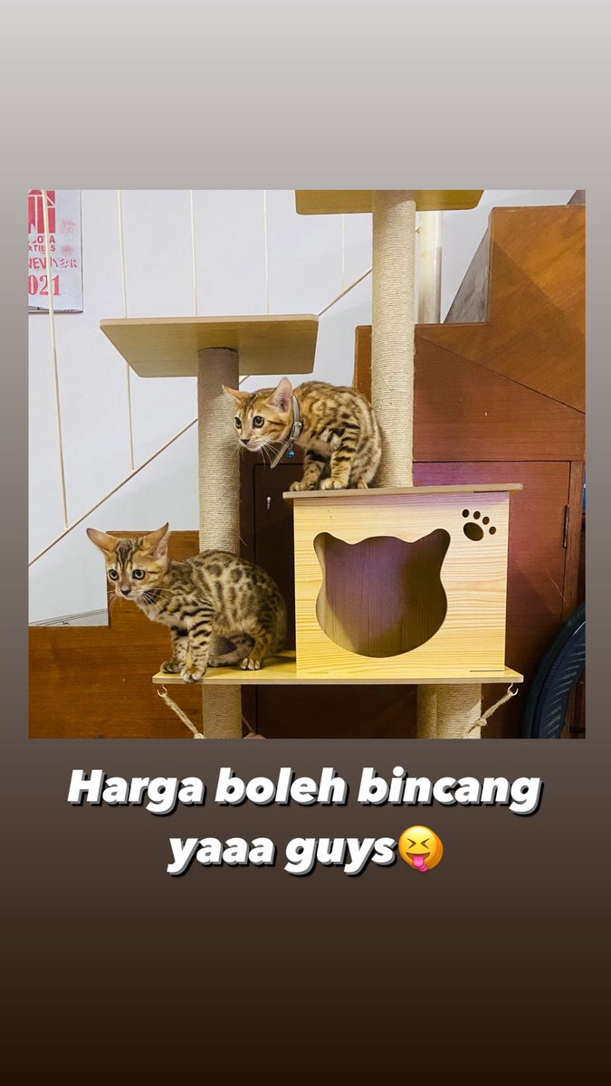 d20mix's tweet photo. Sesiapa berminat boleh DM yaa.. Harga kawan2 je😝 https://t.co/trqGEF4VC7