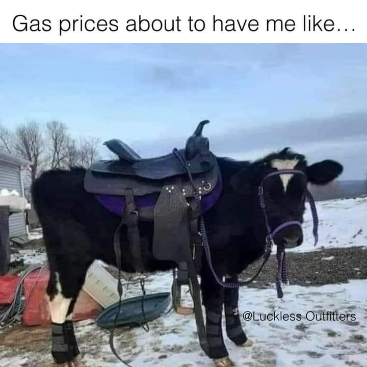 BoondocksEvents's tweet image. 