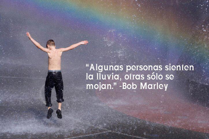 iPhrases's tweet photo. Algunas personas sienten la #lluvia, otras solo se mojan.

#BobMarley #Marley https://t.co/L1X2h91tWv
