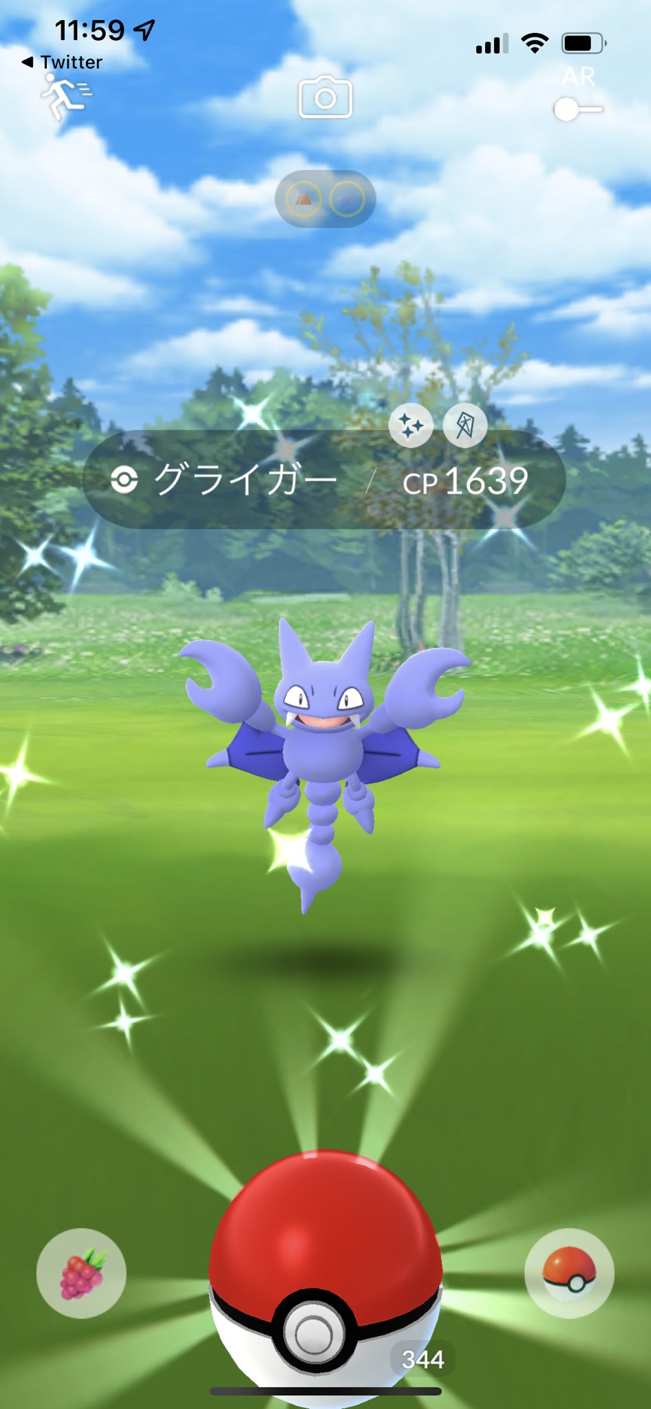 グライガー Twitter Search Twitter