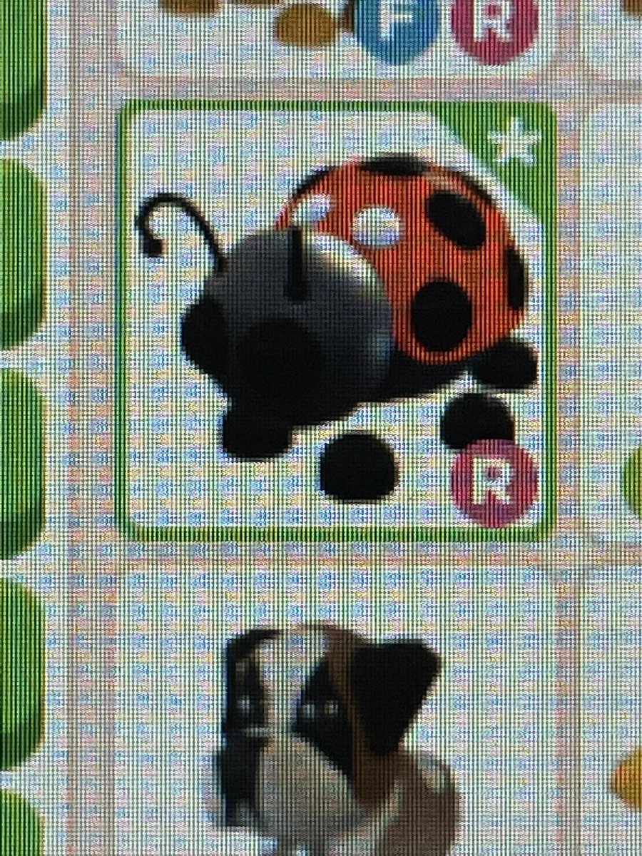 Daazzaaii's tweet photo. // Adopt Me Giveaway!! 
—
🌿• Like &amp; RT - 
🌿• Follow vv
@Chhuuyaa &amp; @NotSasuke__ 
- Show proof! 
—
(Ride Ladybug) 
#robloxgiveaway #adoptme #adoptmegiveaway https://t.co/4mo3LVHwiQ