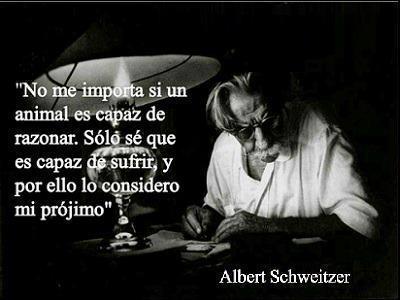 iPhrases's tweet photo. No me importa si un #animal es capaz de razonar. Solo sé que es capaz de #sufrir y por ello lo considero mi prójimo.

#AlbertSchweitzer #MaltratoAnimal https://t.co/pEkKUotk6d