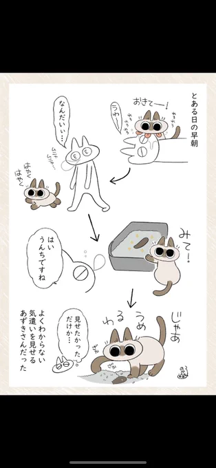 うんち大好きだと思われてる説 #シャム猫あずきさんは世界の中心 