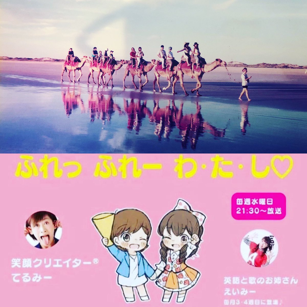 オーストラリア 再放送 最新情報まとめ みんなの評価 レビューが見れる ナウティスモーション